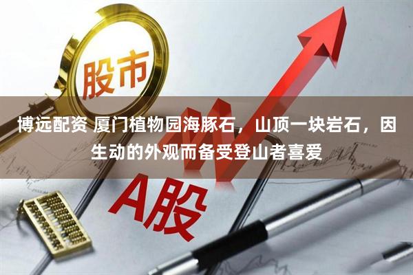 博远配资 厦门植物园海豚石，山顶一块岩石，因生动的外观而备受登山者喜爱